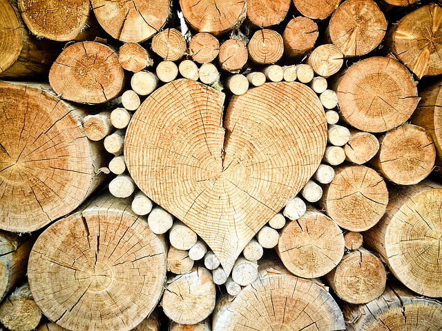 Read more about the article Where Your Heart Is